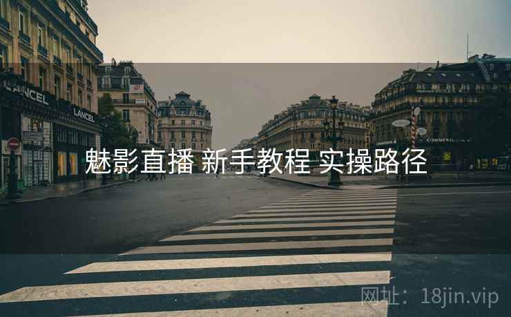 魅影直播 新手教程 实操路径