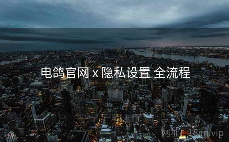 电鸽官网 x 隐私设置 全流程