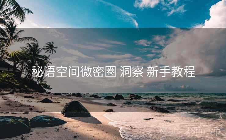 秘语空间微密圈 洞察 新手教程