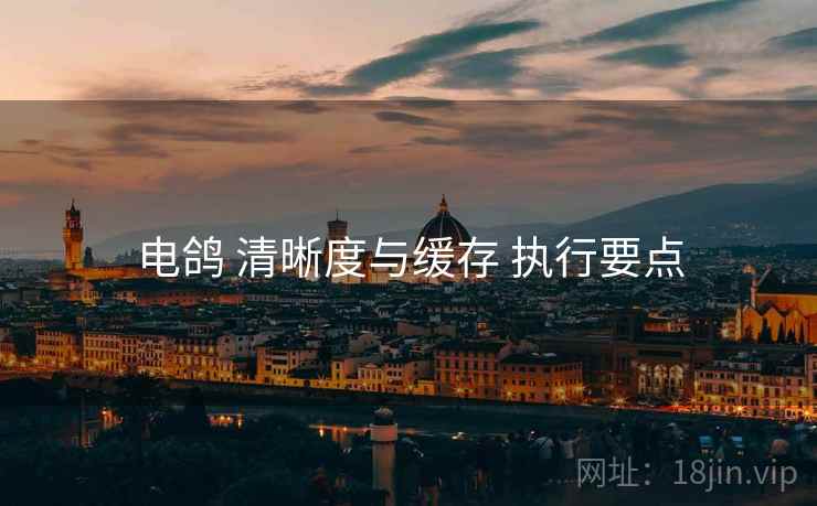 电鸽 清晰度与缓存 执行要点