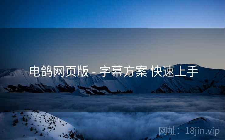 电鸽网页版 - 字幕方案 快速上手