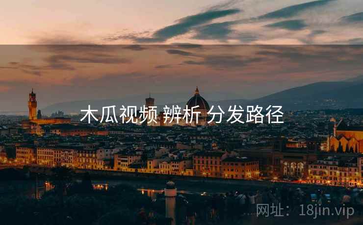 木瓜视频 辨析 分发路径