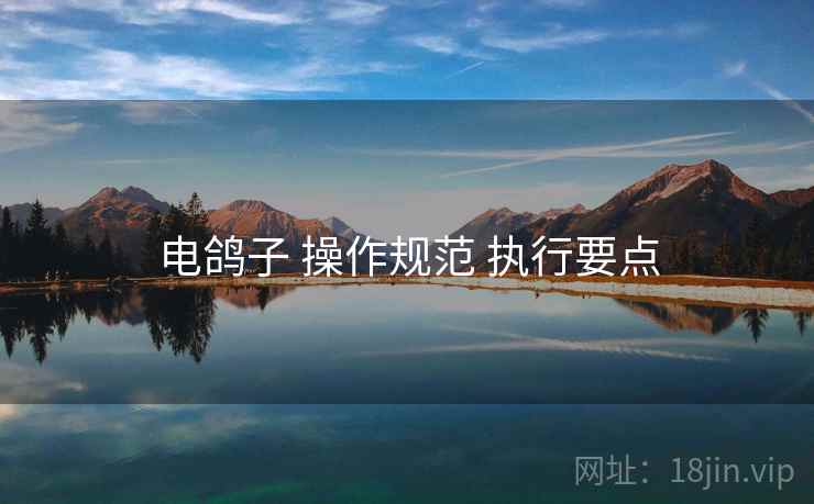 电鸽子 操作规范 执行要点