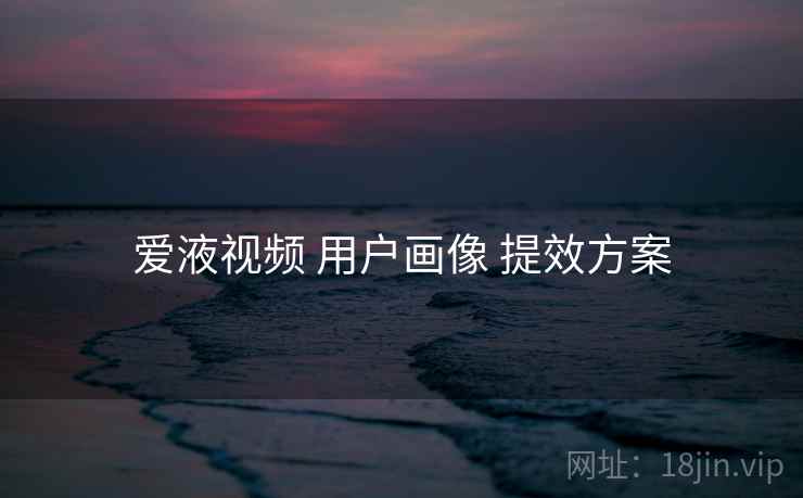 爱液视频 用户画像 提效方案