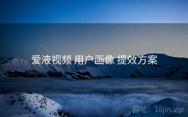 爱液视频 用户画像 提效方案