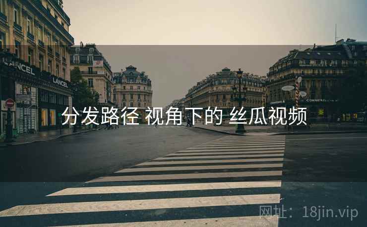 分发路径 视角下的 丝瓜视频
