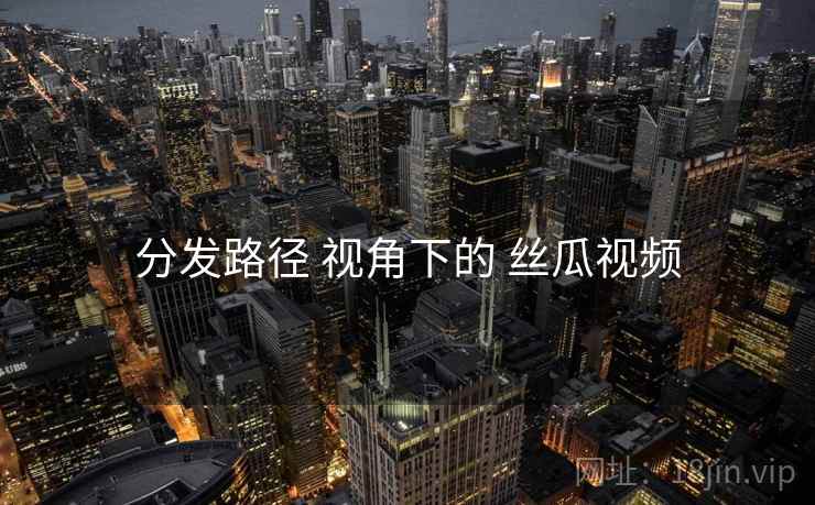 分发路径 视角下的 丝瓜视频