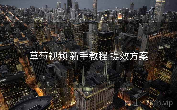 草莓视频 新手教程 提效方案