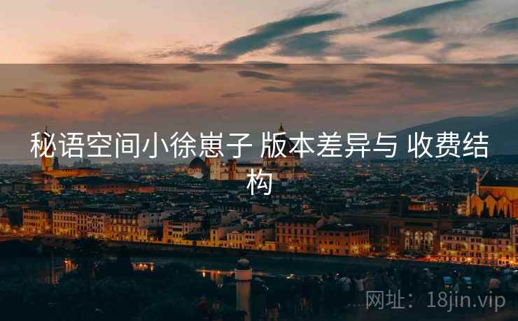 秘语空间小徐崽子 版本差异与 收费结构