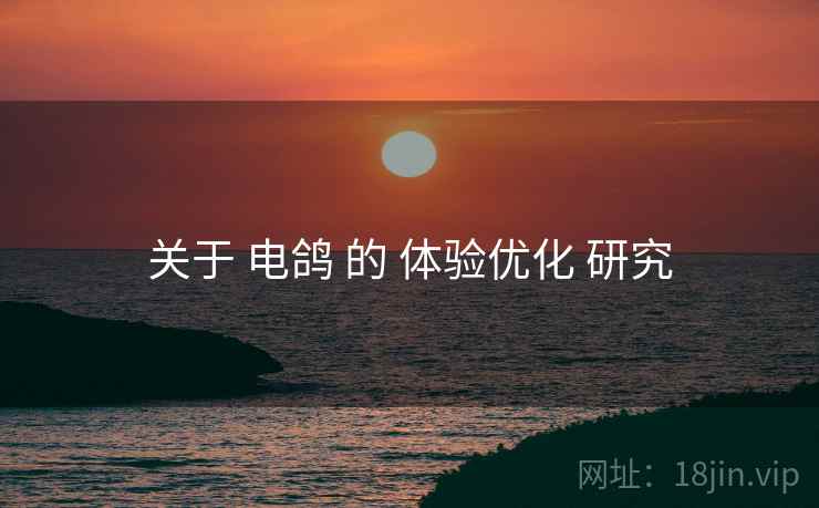 关于 电鸽 的 体验优化 研究