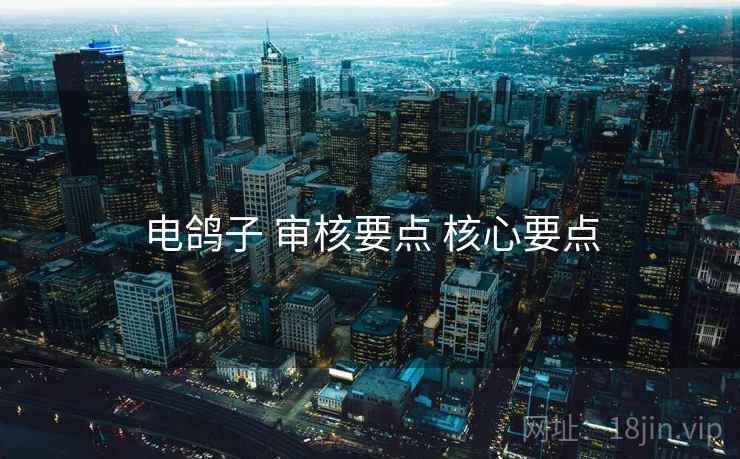 电鸽子 审核要点 核心要点