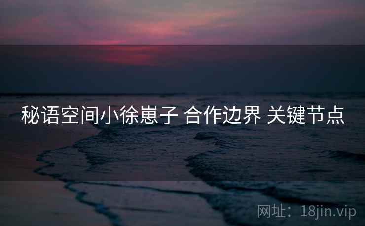 秘语空间小徐崽子 合作边界 关键节点