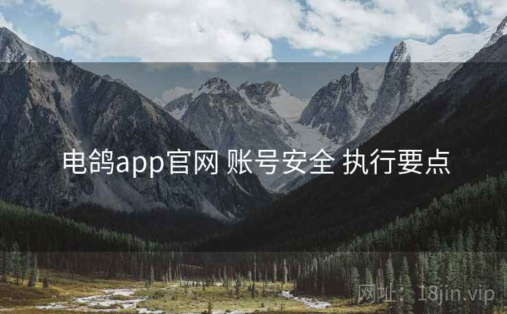 电鸽app官网 账号安全 执行要点