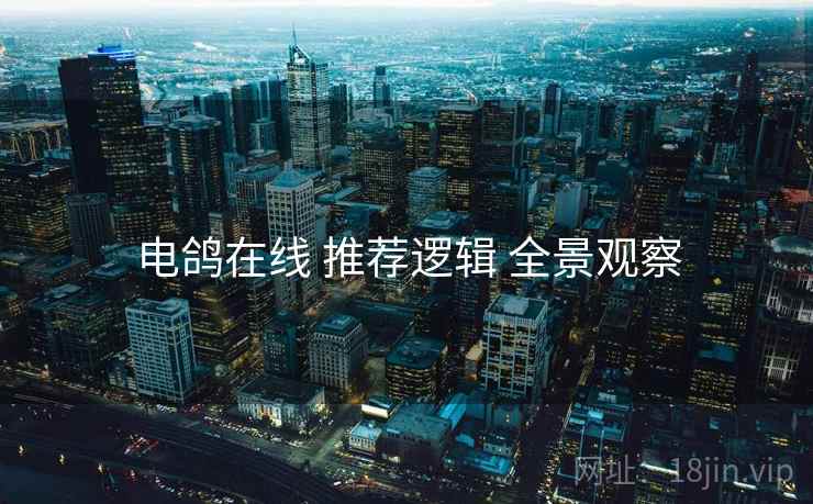 电鸽在线 推荐逻辑 全景观察