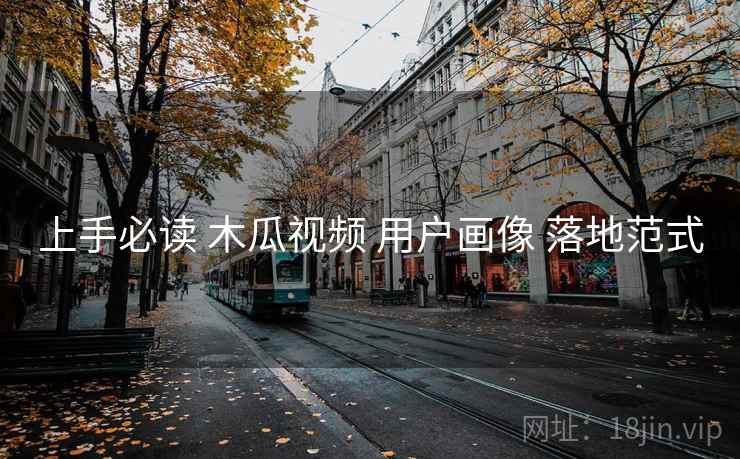 上手必读 木瓜视频 用户画像 落地范式