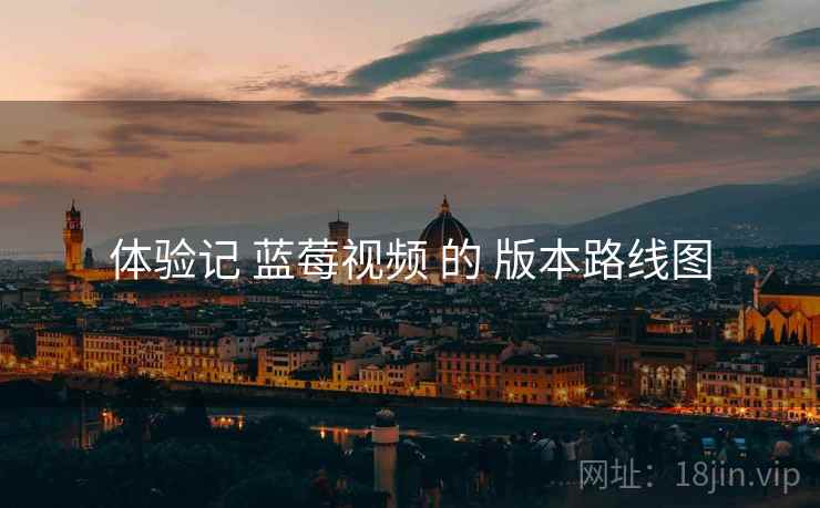 体验记 蓝莓视频 的 版本路线图