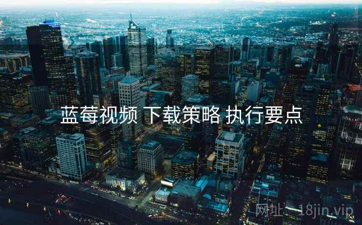 蓝莓视频 下载策略 执行要点