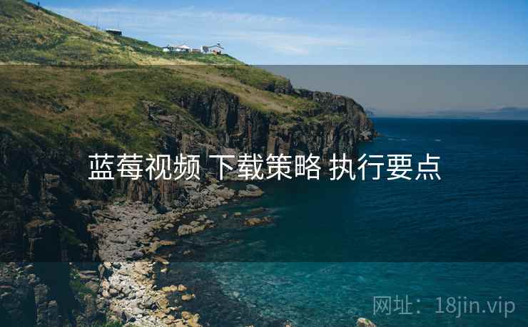 蓝莓视频 下载策略 执行要点