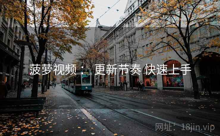 菠萝视频 ： 更新节奏 快速上手