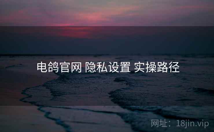 电鸽官网 隐私设置 实操路径