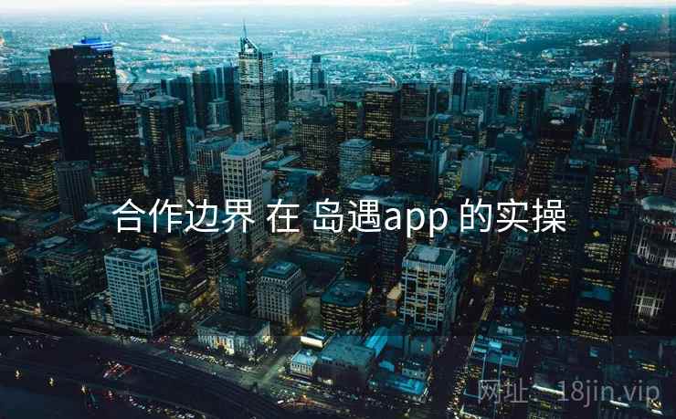 合作边界 在 岛遇app 的实操