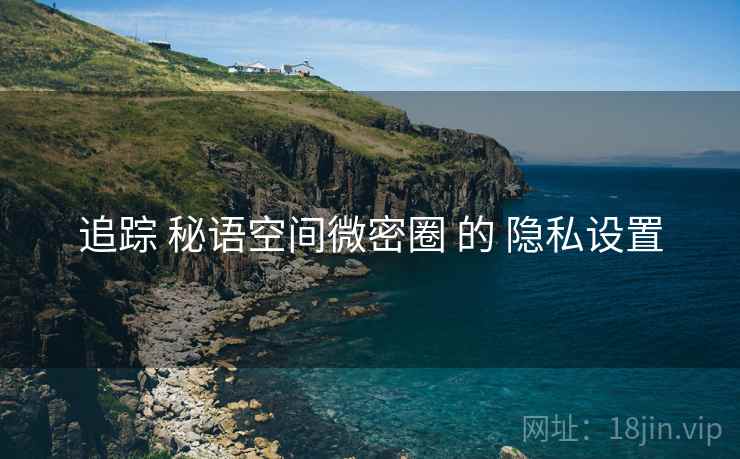 追踪 秘语空间微密圈 的 隐私设置