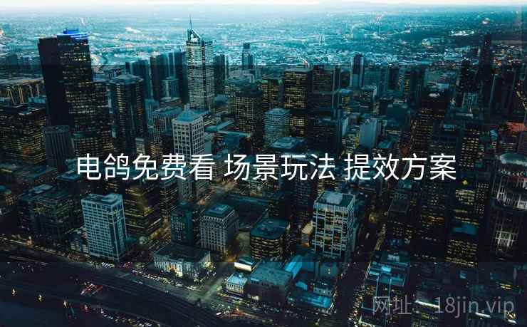 电鸽免费看 场景玩法 提效方案