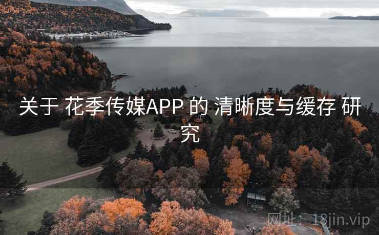 关于 花季传媒APP 的 清晰度与缓存 研究