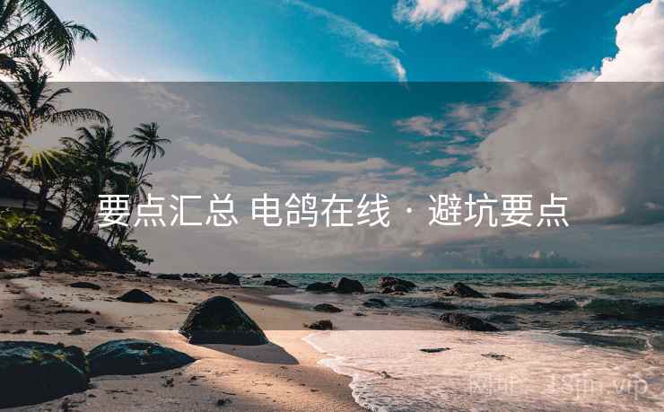要点汇总 电鸽在线 · 避坑要点