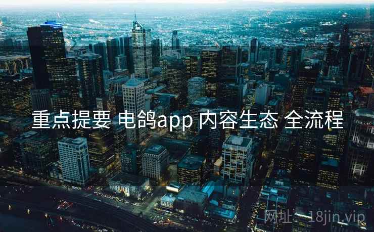 重点提要 电鸽app 内容生态 全流程