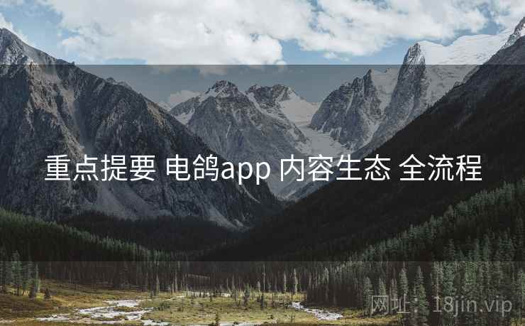 重点提要 电鸽app 内容生态 全流程
